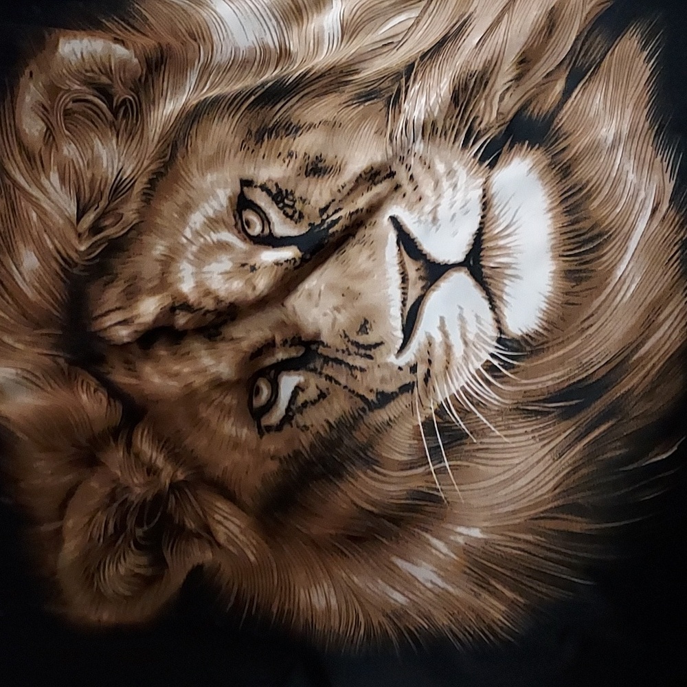 Silky Lion Top - Picture 2 of 2